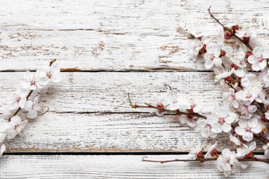 Hafif ahşap zemin üzerinde güzel açan bahar dalları