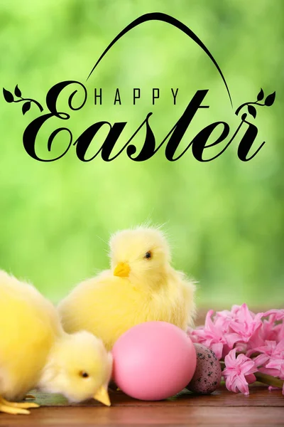 Card Cute Chickens Easter Eggs Flowers Table Outdoors — Stock Photo, Image