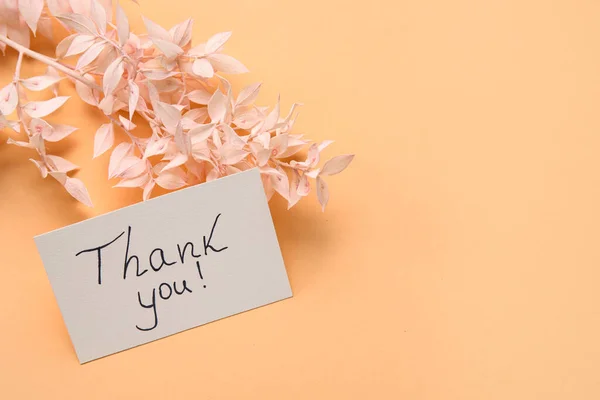 Sheet Paper Text Thank You Plant Branch Color Background — Stock Photo, Image