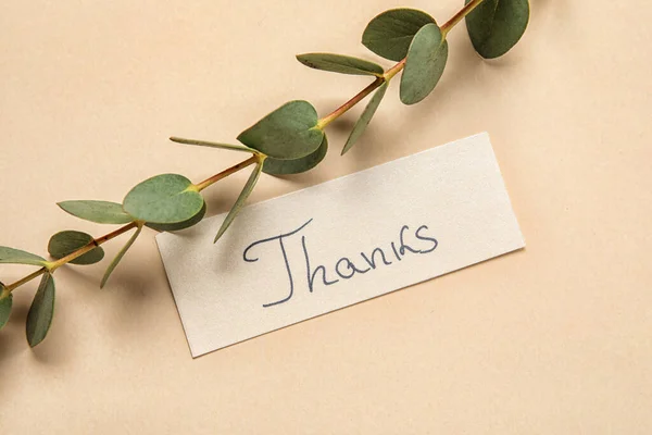 米色背景的纸 带有单词Thanks和桉树分枝 — 图库照片