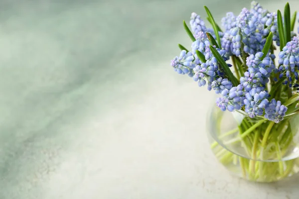 Vase Beautiful Muscari Flowers Light Color Background — Stock Photo, Image