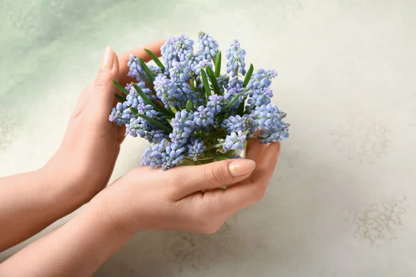 Female Hands Vase Bouquet Beautiful Muscari Flowers Light Background — Stock Photo, Image