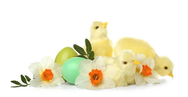 Cute Yellow Chickens Flowers Easter Eggs White Background — Stock Photo, Image