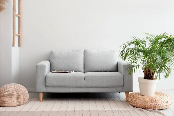 Interior of light modern living room with sofa, pouf and houseplant