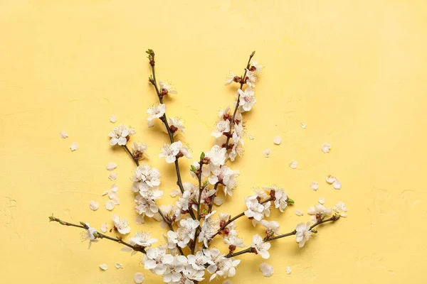 Kwitnące Gałęzie Sprężyny Żółtym Tle — Zdjęcie stockowe