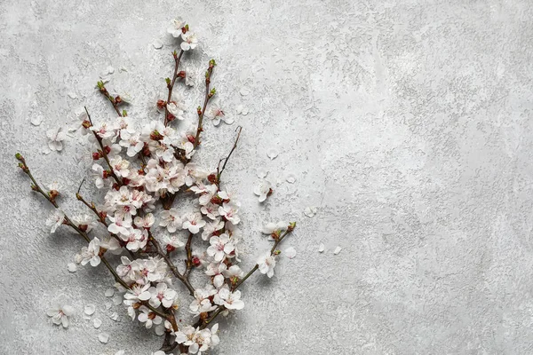 Gri arkaplanda güzel açan bahar dalları