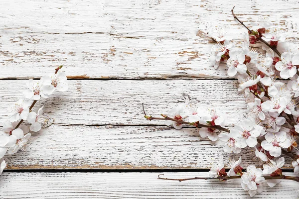 Hafif ahşap zemin üzerinde güzel açan bahar dalları