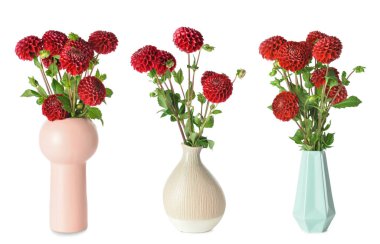 Beyaz çiçekli vazolar.  