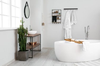 İçinde kaktüs, lavabo ve küvet olan hafif bir banyo.