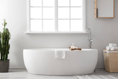 İçinde kaktüs, sepet ve küvet olan hafif bir banyo.