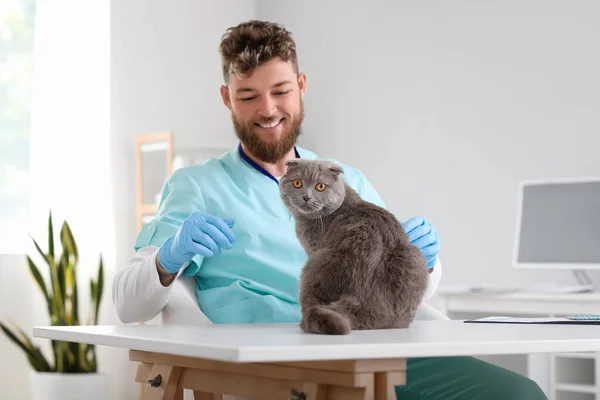 Κτηνίατρος Που Εξετάζει Scottish Fold Cat Στην Κλινική — Φωτογραφία Αρχείου