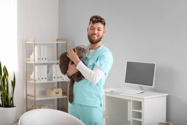 Veterinário Com Gato Escocês Dobrar Clínica — Fotografia de Stock