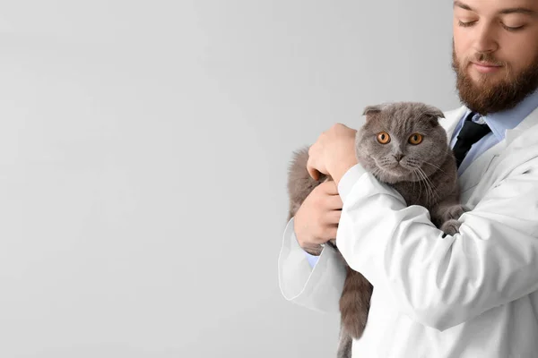 Veterinario Masculino Con Gato Pliegue Escocés Sobre Fondo Claro — Foto de Stock