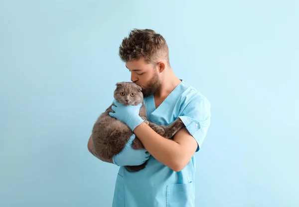 Male Veterinarian Scottish Fold Cat Color Background — Stock Photo, Image