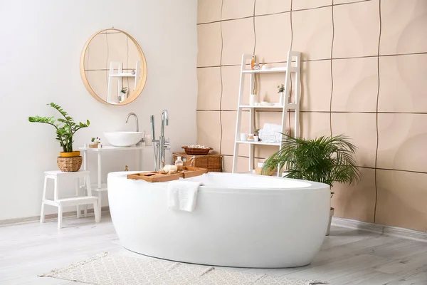 Interior Modern Bathroom Mirror Houseplants Bathtub — Stock Photo, Image