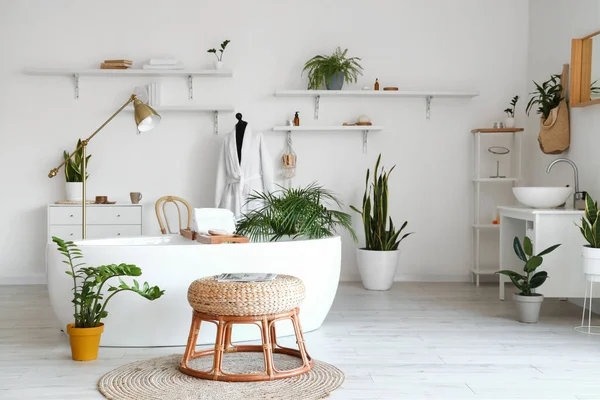 Intérieur Salle Bain Lumineuse Avec Baignoire Mannequin Plantes Intérieur — Photo