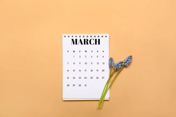 Kalender Och Vackra Muscari Blommor Färg Bakgrund — Stockfoto