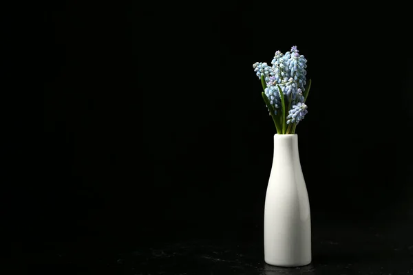 Vaso Com Belas Flores Muscari Fundo Preto — Fotografia de Stock