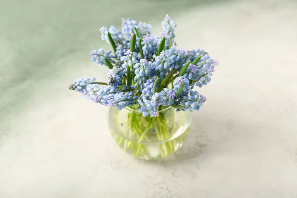 Vase Beautiful Muscari Flowers Light Color Background — Stock Photo, Image
