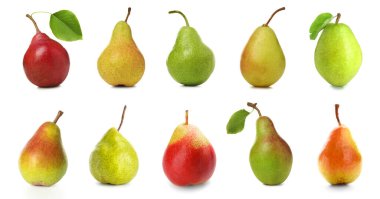 Beyaz üzerine izole tatlı olgun armutlar. 