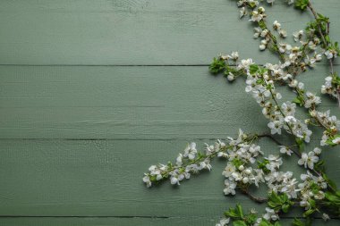 Yeşil ahşap arka planda güzel açan bahar dalları