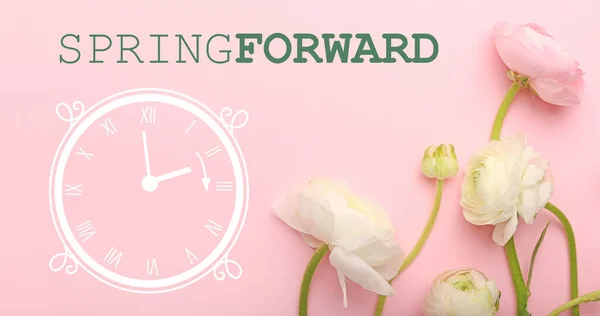 Beautiful Ranunculus Flowers Drawing Clock Pink Background Spring Forward — Stock Photo, Image