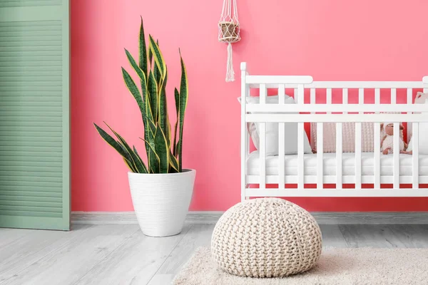 Beautiful Crib Color Wall Interior Stylish Children Room — Stock Photo, Image