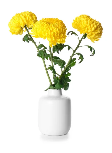Jarrón Flores Crisantemo Amarillo Sobre Fondo Blanco —  Fotos de Stock