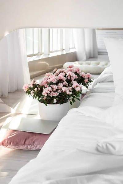 Квіти Бегонії Сучасний Ноутбук Підлозі Біля Ліжка — стокове фото