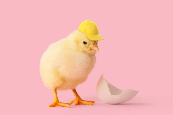 Cute Newborn Chick Stylish Cap Pink Background — Stock Photo, Image