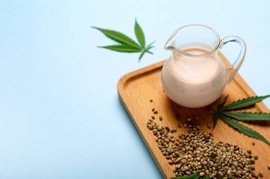 Kenevir sütü, tohum ve yapraklı ahşap tahta kaplama mavi arka planda