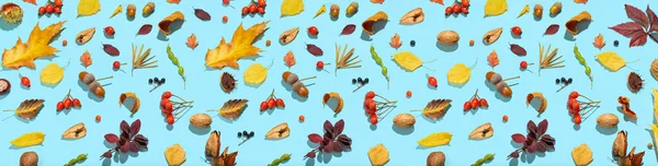 Beautiful Autumn Leaves Acorns Nuts Berries Light Blue Background Banner — Stockfoto