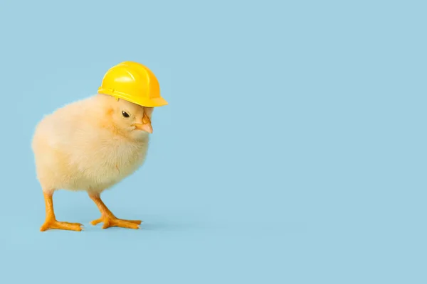 Funny Little Chick Hardhat Light Blue Background — 스톡 사진