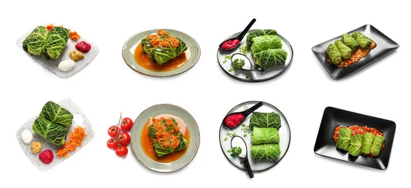 Set Tasty Stuffed Cabbage Rolls White Background — 스톡 사진