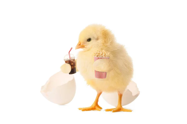 Funny Little Chick Popcorn Cola Isolated White — Stock Photo, Image