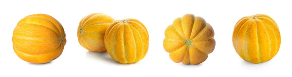 Set Rijpe Meloen Geïsoleerd Wit — Stockfoto