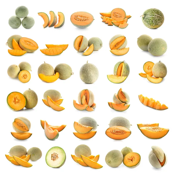 Set Ripe Melon Isolated White — Stock Photo, Image