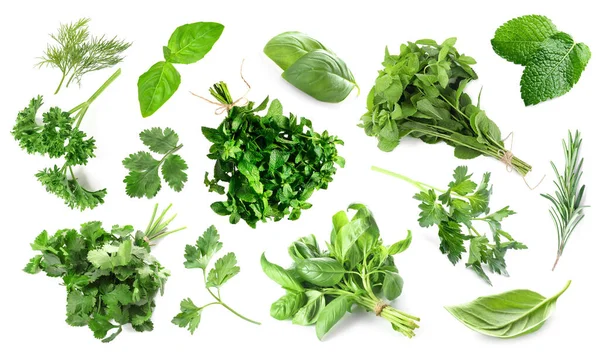 Set Fresh Green Herbs White Background — Foto Stock