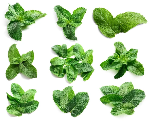 Frische Grüne Minzblätter Auf Weißem Hintergrund Draufsicht — Stockfoto