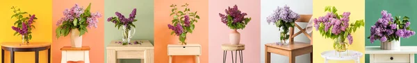Collage Bouquets Beautiful Lilac Flowers Colorful Background — Foto de Stock
