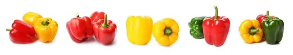 Set Colorful Bell Pepper Isolated White — Photo