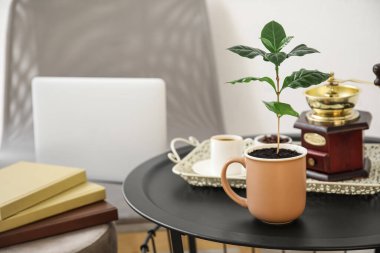 Odada kahve ağacı olan bir fincan.