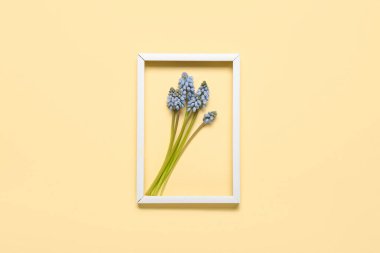 Açık sarı arkaplanda güzel Muscari çiçekleri olan çerçeve