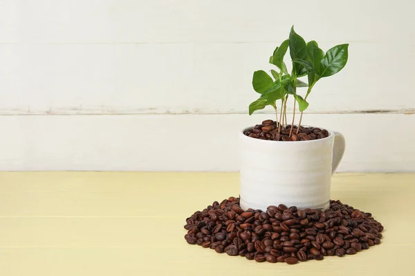 Cup Coffee Tree Beans Table — Stock Photo, Image