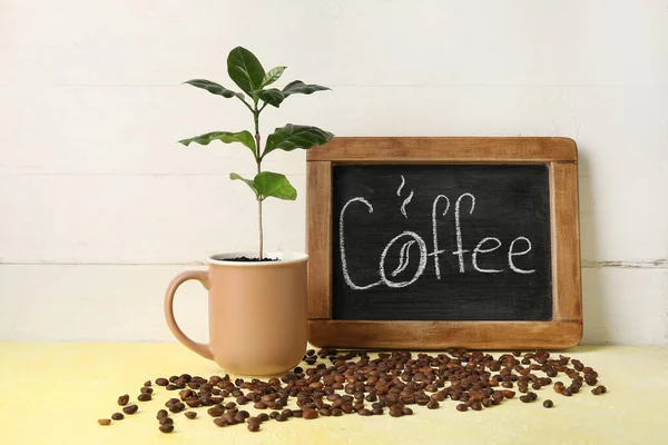 Tablica Słowem Coffee Młode Drzewo Fasola Drewnianym Stole — Zdjęcie stockowe