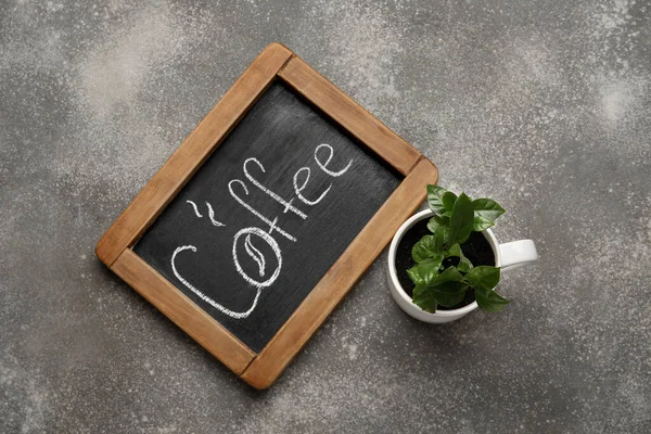 Kahve Sözcüğü Grunge Arka Planında Genç Bir Ağaç Olan Tebeşir — Stok fotoğraf