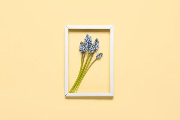 Frame Beautiful Muscari Flowers Light Yellow Background — Stock Photo, Image