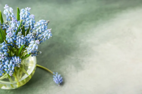 Vase Beautiful Muscari Flowers Color Background — Stock Photo, Image