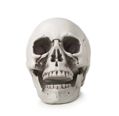 Beyaz arkaplanda izole edilmiş insan kafatası