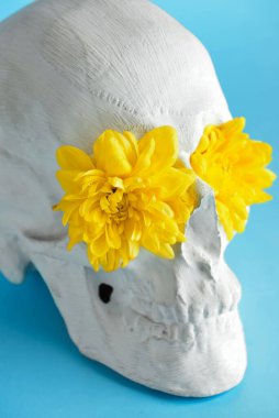 Mavi arka planda çiçekli insan kafatası, yakın plan